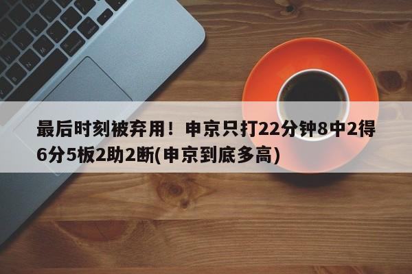 最后时刻被弃用！申京只打22分钟8中2得6分5板2助2断(申京到底多高)